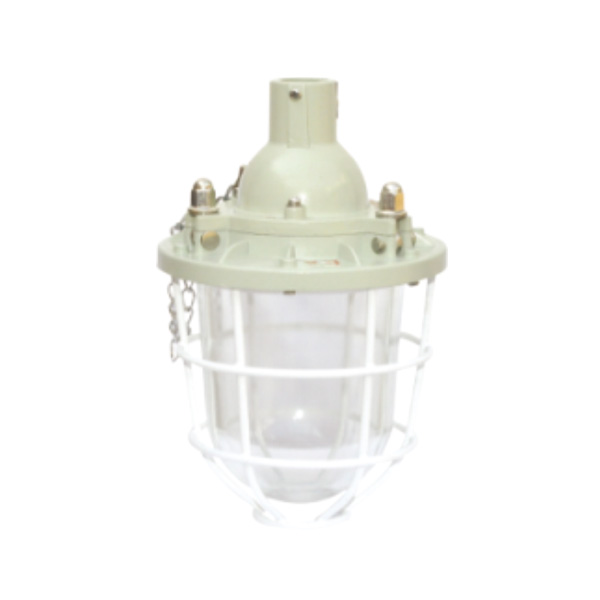 DCG-100系列隔爆型防爆燈(ⅡB)<br><strong>產品特點&nbsp; Features</strong><br>1、鑄鋁合金外殼，表面噴塑。<br…